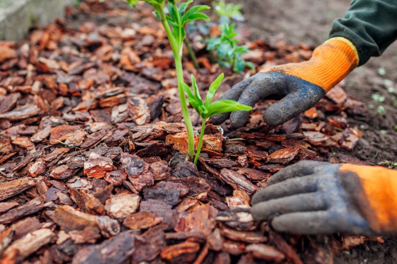 Pine Bark Mulch Installation in Ventura County, CA
