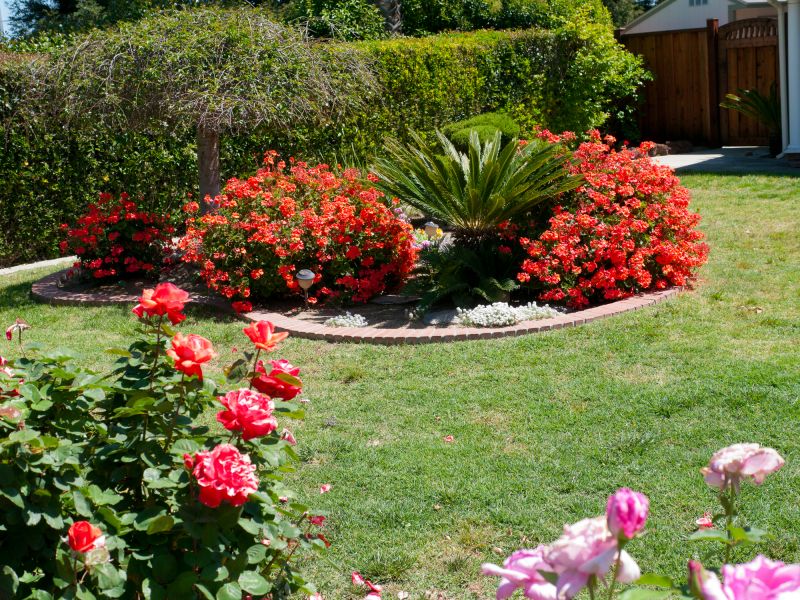 Softscaping Service in Honolulu, HI