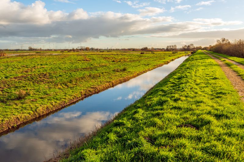 Ensure proper drainage and avoid flooding