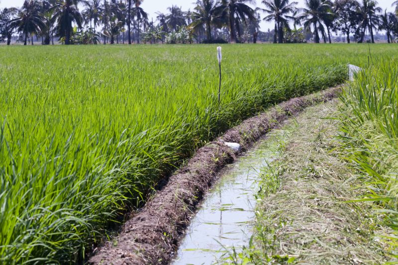 Fix drainage issues to protect your land